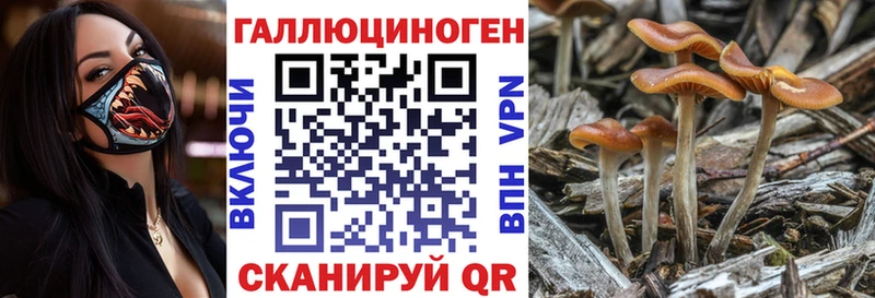 Галлюциногенные грибы ЛСД  Сельцо 